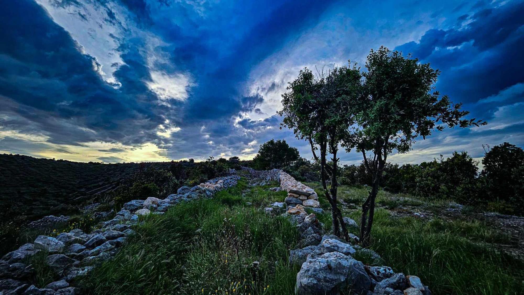 Nočitev z zajtrkom Plava Laguna *
